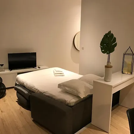 Le Patio Des Carmes Apartment *